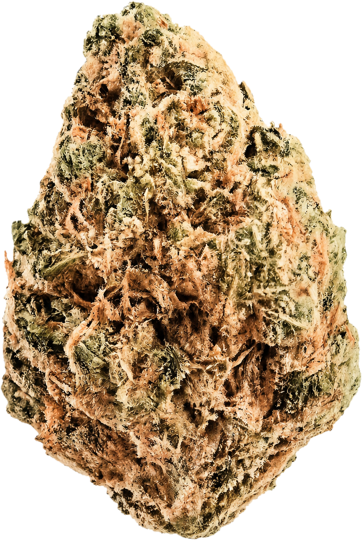 Huala 22/1 CA ALM – Indica