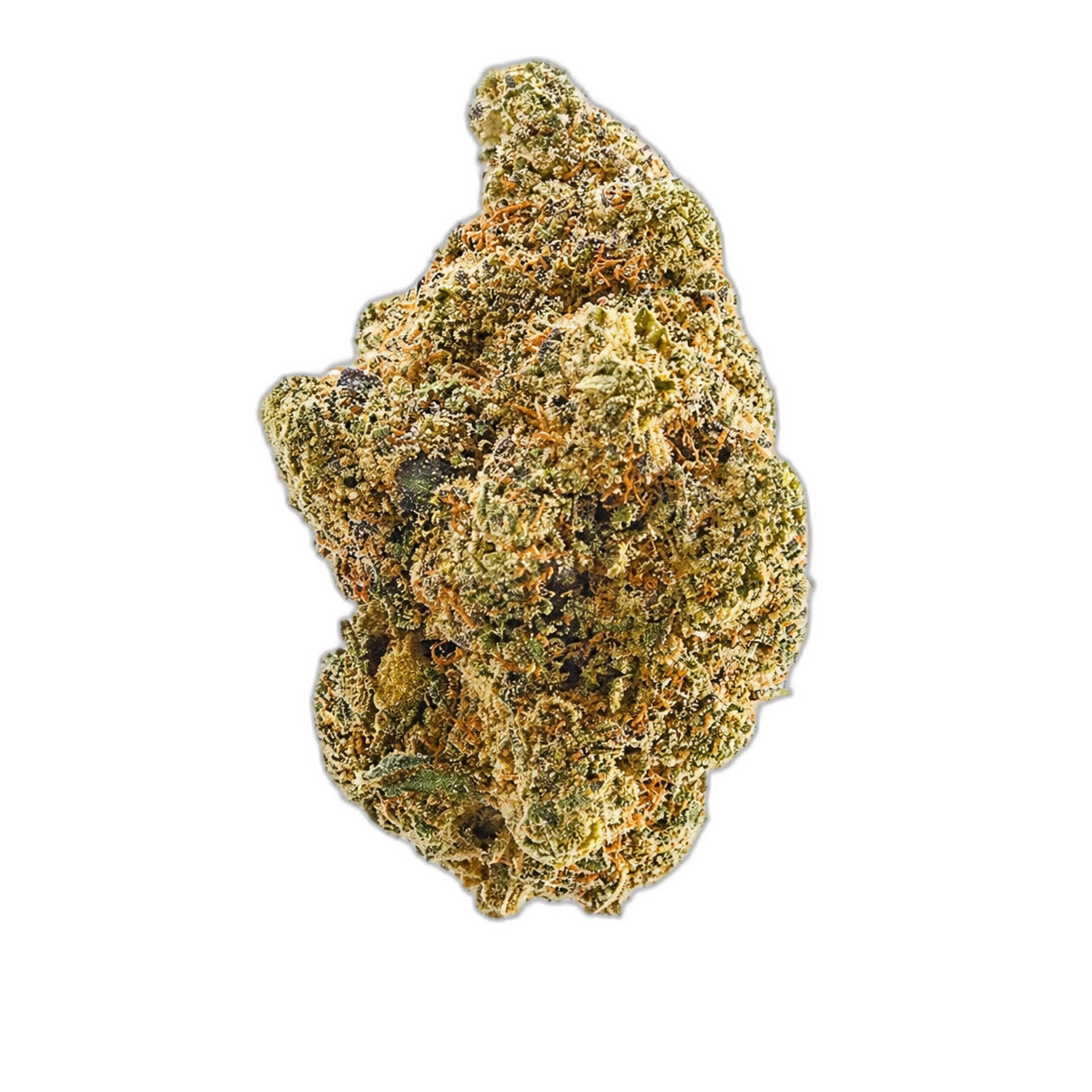 LOT 420 GLOC 25/1 – Hybrid