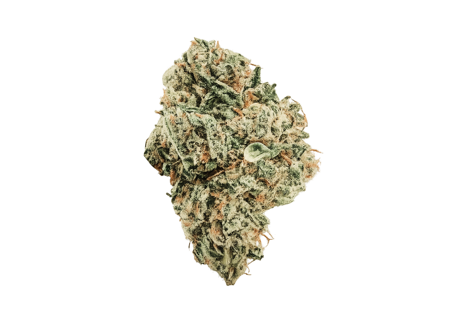 420 Evolution 30/1 CA ICC – Hybrid