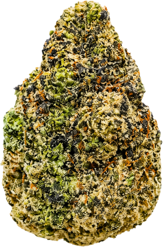Vasco PR – Hybrid