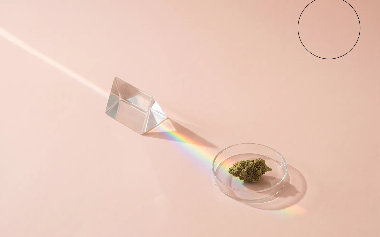 Stillleben: ein Glasprisma auf hellem Papier, durch das ein feiner Lichtstrahl fällt.