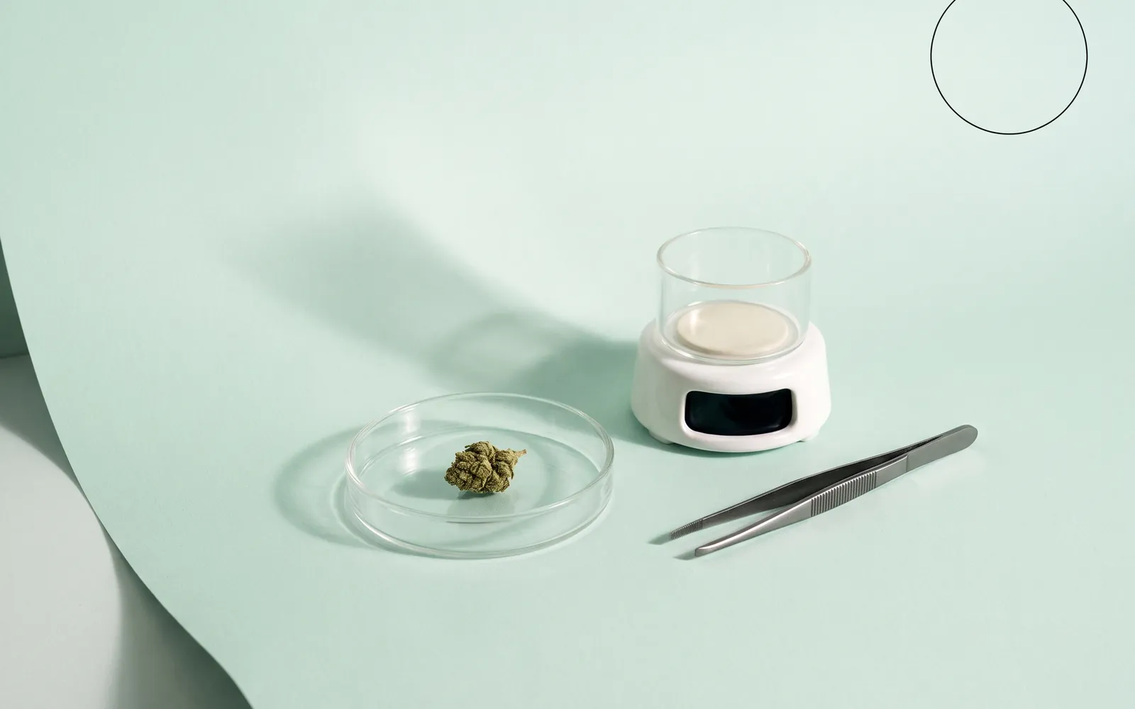Stillleben: Glasschale mit einer getrockneten Blüte, Laborwaage und Pinzette vor Mintgrün.