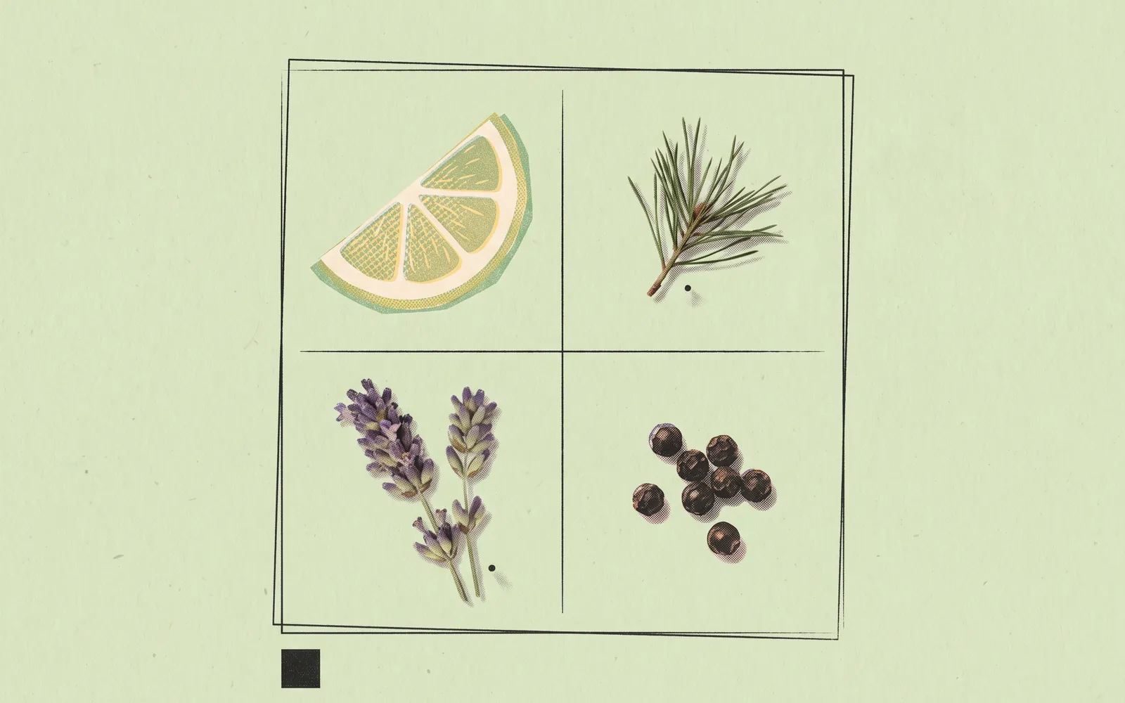 Collage: Zitronenscheibe, Kiefernzweig, Lavendel und Pfefferkörner in einem Raster auf Pistaziengrün.